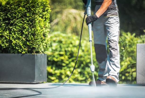 Best Sidewalk and Walkway Cleaning  in Tamiami, FL