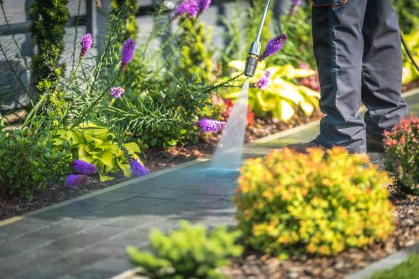 Best Spring Cleaning  in Tamiami, FL