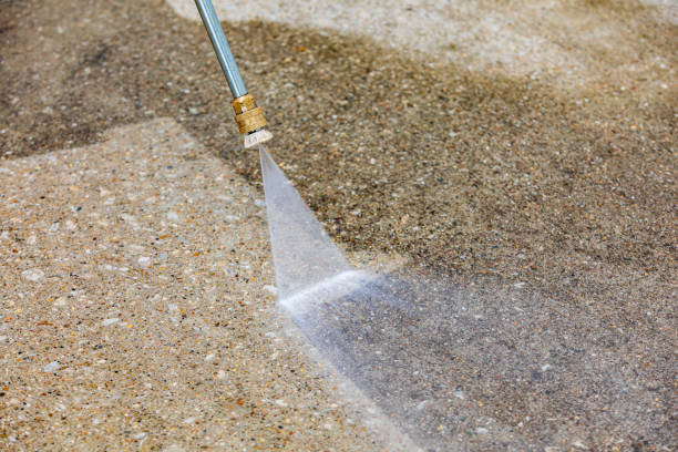 Animal Enclosure Cleaning in Tamiami, FL